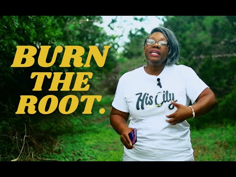 Preventing Future Trauma | Minister Yolanda Gunter video thumbnail.